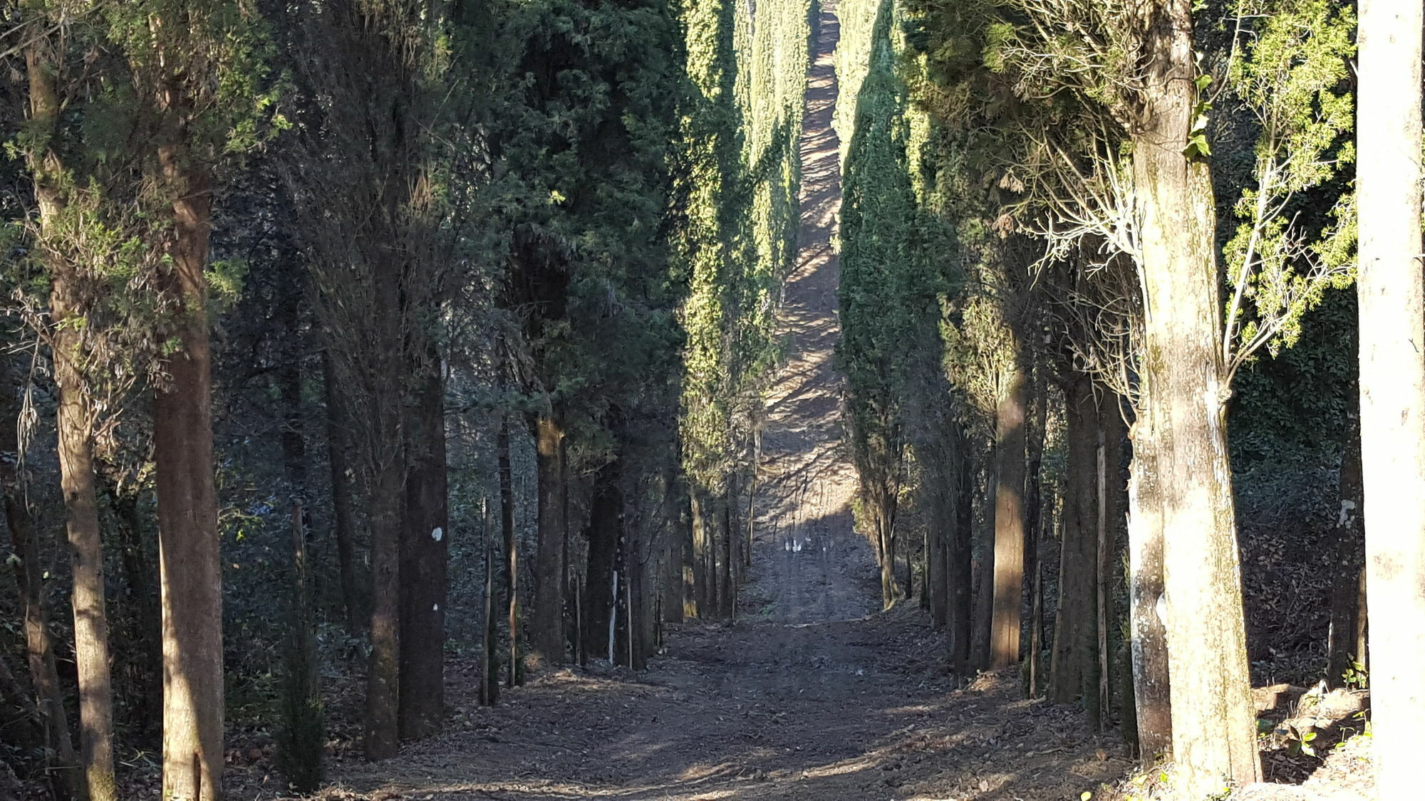 L'Ugolino Farm House La Presura מראה חיצוני תמונה